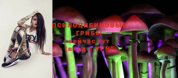 ПСИЛОЦИБИНОВЫЕ ГРИБЫ Переславль-Залесский