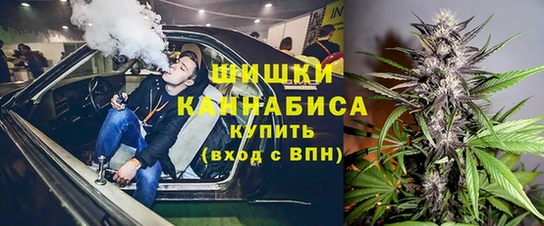 индика Пересвет