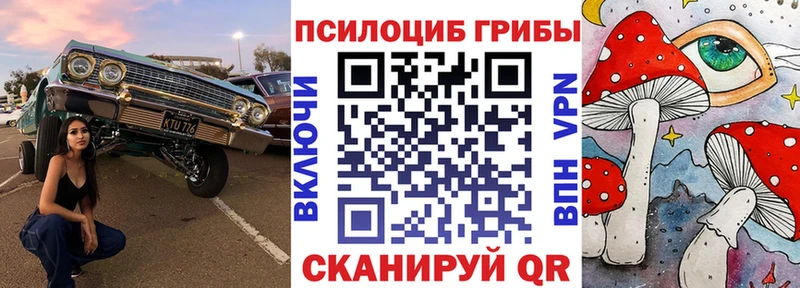 Псилоцибиновые грибы прущие грибы  блэк спрут как войти  Калининск  где найти наркотики 
